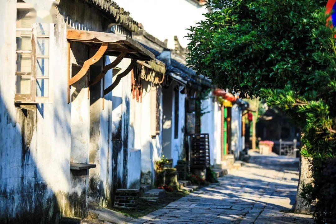 泰拉瑞亚黑暗之魂怎么得
